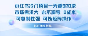 小红书冷门项目一天收益9张，市场需求大，0成本，可复制性强可以矩阵操作-第一资源库