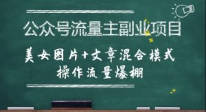 公众号流量主副业项目,美女图片+文章混合模式操作流量爆棚-第一资源库
