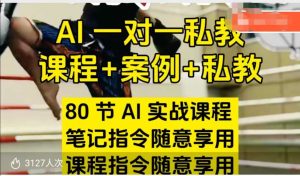 AI指令实战课,课程+案例,80节AI实战课程,笔记指令随意享用,课程指令随意享用(更新7月)-第一资源库