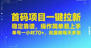 首码项目一键拉新，稳定靠谱，操作简单易上手，单号一小时70+，批量做每天多张【揭秘】-第一资源库