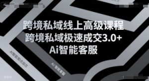 跨境私域线上高级课程，跨境私域极速成交3.0+Ai智能客服-第一资源库