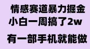 情感暴力掘金项目，新人操作一周挣了2W，长期稳定小白可做【揭秘】-第一资源库