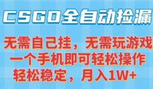 CSGO自动捡漏项目，最新独家玩法，一个手机可操作，新手小白轻松月入1W+，操作简单易上手【揭秘】-第一资源库