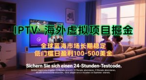 【海外虚拟项目掘金】日入100-200美刀，自己在家就可以闷声发大财，长期可做，工作室可复制扩大【揭秘】-第一资源库