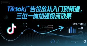 Tiktok广告投放从入门到精通，三位一体加强投流效果-第一资源库