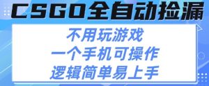 CSGO自动捡漏项目,最新独家玩法,不用挂G不用玩游戏,一个手机即可操作,新手小白轻松月入1W+【揭秘】-第一资源库