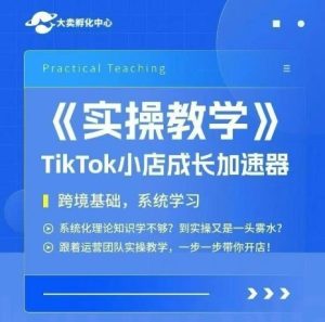 大卖家孵化中心TikTok实操课,TikTok小店成长加速器,跨境基础系统学习,一步一步带你开店-第一资源库