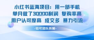 小红书蓝海项目,一部手机单月做了3W利润,小白也能月入过1W用户认可度高成交多-第一资源库