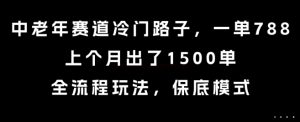 中老年赛道冷门路子，一单788，上个月出了1500单，全流程玩法，保底模式【揭秘】-第一资源库