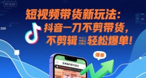 短视频带货新玩法：抖音一刀不剪带货，不剪辑，纯搬运，新手也能轻松爆单!-第一资源库