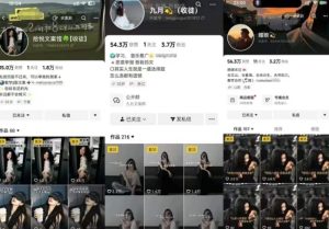 抖音图文文案赛道新玩法,快速养号起号,广告收益分成+橱窗带货+教学收徒等-第一资源库