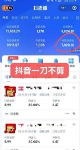 抖音短视频一刀不剪带货，不剪辑，不直播，每天发个视频，等着出单获取带货佣金-第一资源库