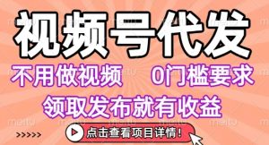 视频号代发，不用剪辑不用做视频，0门槛要求，领取发布就有收益，任务没有无上限，小白轻松上手【揭秘】-第一资源库