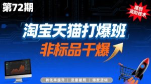 淘宝天猫打爆班原创高阶技术第72期,非标品干爆-第一资源库