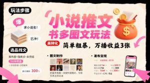 小说推文小红书多图文玩法，简单粗暴，万播收益3张-第一资源库