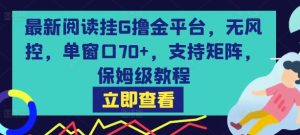 最新阅读挂G撸金平台,无风控,单窗口70+,支持矩阵,保姆级教程【揭秘】-第一资源库