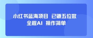 小红书蓝海项目,全程AI,操作简单,已挣五位数-第一资源库