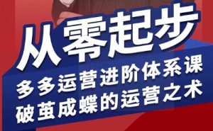 拼多多运营进阶系统课,从零起步,多多运营进阶体系课,破茧成蝶的运营之术-第一资源库