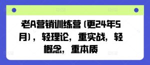 老A营销训练营(更25年8月),轻理论,重实战,轻概念,重本质-第一资源库