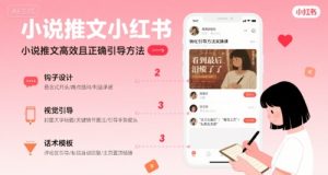小说推文小红书高转化引导方法实操课，小说推文高效且正确引导方法-第一资源库