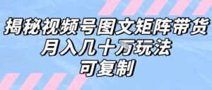 解密视频号图文矩阵带货，月入几个W的打法，可复制-第一资源库
