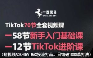 TikTok全套视频课,新手入门+进阶课,短视频ADS-GMV MAX投流打品,日销破1000单打法-第一资源库