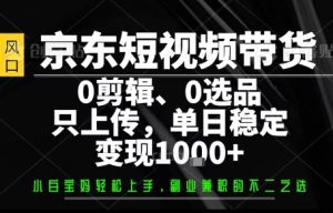 你出账号，我来运营，保底日入1k+，开启躺賺模式【揭秘】-第一资源库