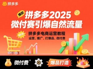 拼多多2025微付赛引爆自然流量,拼多多电商运营教程,运营、推广、打爆品、微付费-第一资源库