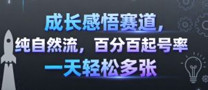 成长感悟赛道,纯自然流,百分百起号率 一天轻松多张-第一资源库