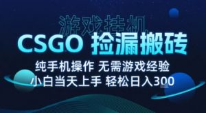 8月最新游戏搬砖，CSGO纯挂G，不需要玩游戏，实现真挂G，月入1W+【揭秘】-第一资源库