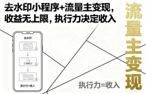 去水印小程序+流量主变现,收益无上限,执行力决定收入-第一资源库