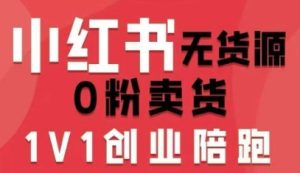 小红书无货源0粉电商课,开店准备、选品策略、笔记撰写、视频剪辑、数据分析、账号打造、资料文档-第一资源库