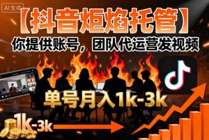 【抖音炬焰托管】你提供账号，团队代运营发视频，单号月入1k+【揭秘】-第一资源库