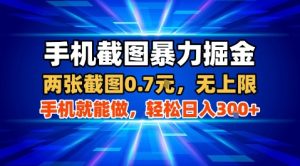 手机截图暴力掘金,两张截图0.7米,一部手机就能做,轻松日入3张+【揭秘】-第一资源库