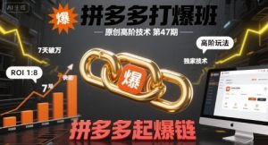 拼多多打爆班原创高阶技术第47期,拼多多起爆链-第一资源库