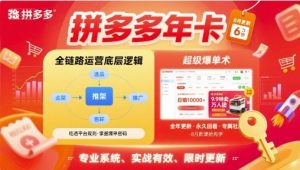 拼多多年卡【8月更新6节】拼多多全链路运营底层逻辑,超级爆单术-第一资源库