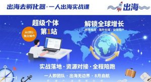 出海去孵化器,一人出海实战课,超级个体第1站,解锁全球增长-第一资源库