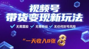 视频号带货变现新玩法，无需露脸，无需粉丝，无任何封号风险，一天收益8张【揭秘】-第一资源库