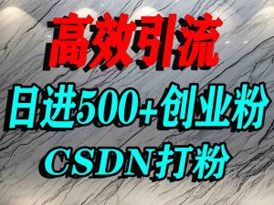 怎么打创业粉?CSDN又一个你不知道的打粉引流神秘平台,单人日引500+精准流量-第一资源库