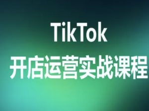 TikTok开店运营实战课程,TK跨境电商实操全流程-第一资源库