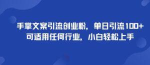 手掌文案引流创业粉,单日引流100+,可适用任何行业,小白轻松上手-第一资源库