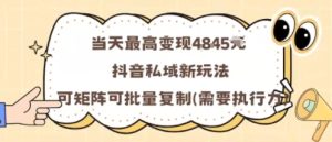 当天最高变现1k+,抖音私域新玩法,可矩阵可批量复制-第一资源库