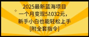 2025最新蓝海项目一个月变现1w+新手小白也能轻松上手【附全套指令】-第一资源库