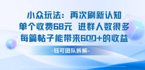 小众玩法再次刷新认知单个收费68米进群人数很多每篇帖子能带来6张的收益-第一资源库