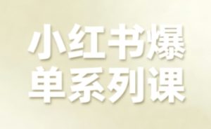 小红书爆单系列课，聚焦小红书电商全链路增长-第一资源库