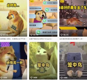 狗头幸运星UE5动画全套课程,从入门到实操全掌握-第一资源库