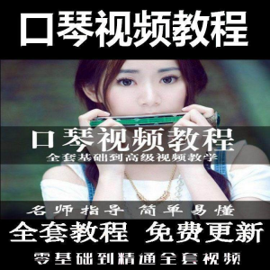 口琴自学教程视频零基础初学者入门到专业十孔24孔教学-第一资源库