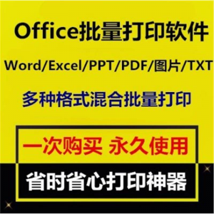 Office批量打印软件工具 Word/Excel/PPT/图片/PDF批量打印软件-第一资源库
