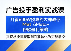 广告投手盈利实战课，月管600W预算的大神教你Meta+谷歌盈利策略，实现从流量获取到利润转化的完整掌控-第一资源库
