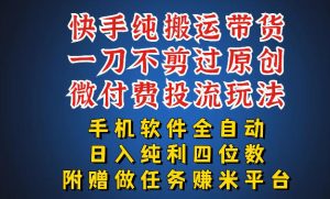 最新黑科技快手搬运带货方法,手机就能操作,轻松带你日入四位数【揭秘】-第一资源库